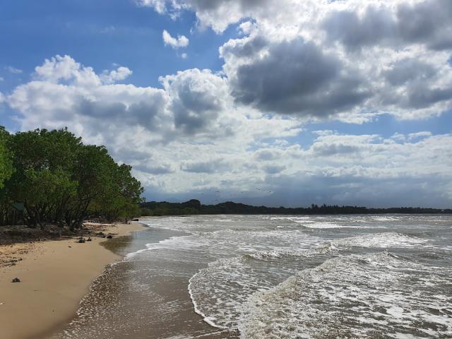 Lote En Venta En Dibulla En. V210425