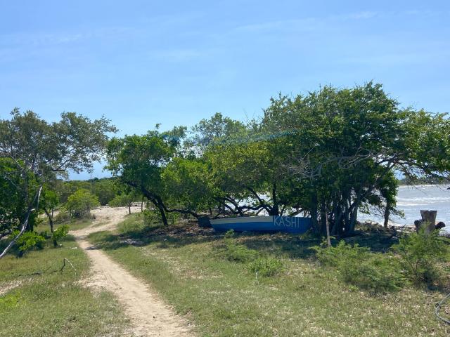 Lote En Venta En Dibulla En. V210425
