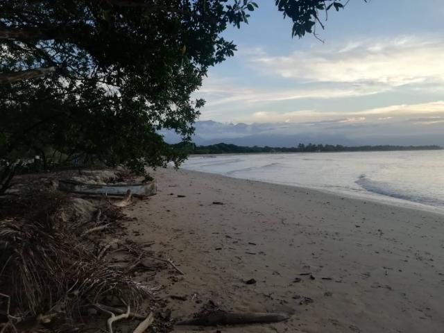 Lote En Venta En Dibulla En. V210431