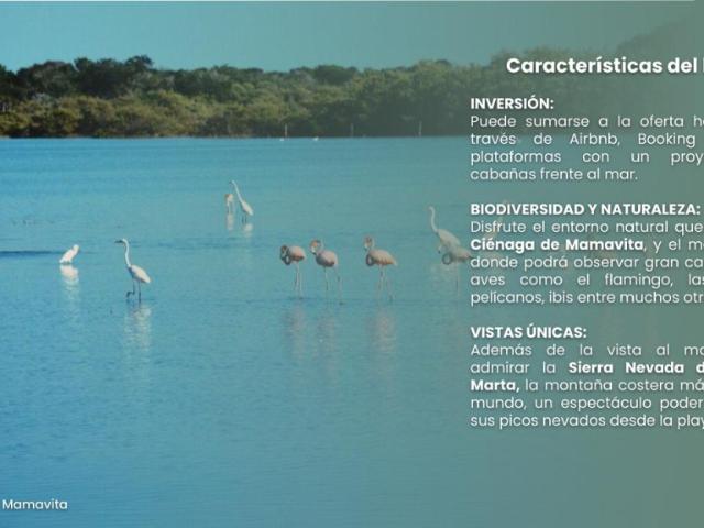 Lote En Venta En Dibulla En. V210431