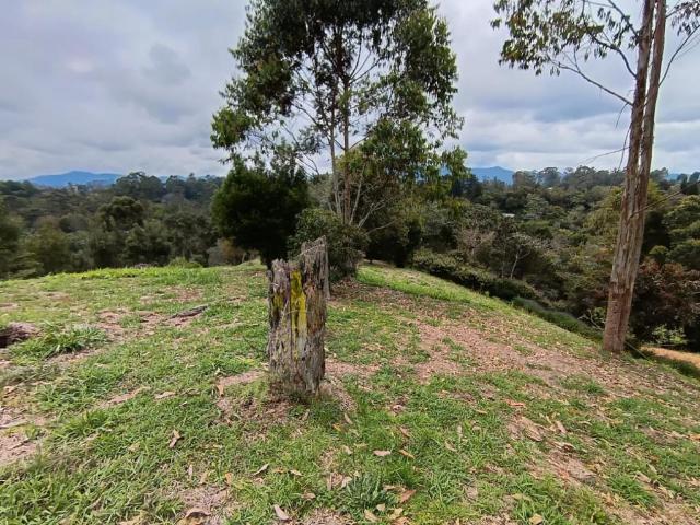 Lote en venta en Antioquia, San José De Oriente