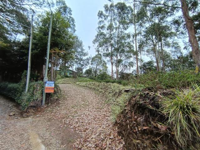 Lote en venta en Antioquia, San José De Oriente