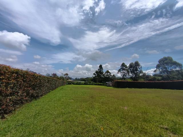 Lote en venta en Antioquia, San José De Oriente