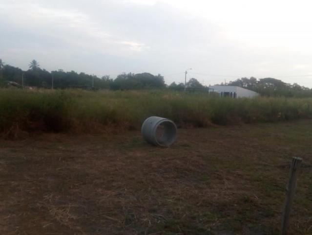 Lote en venta en Tolima
