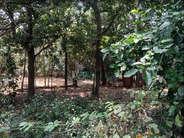 Lote en venta en El Zulia, Oriental