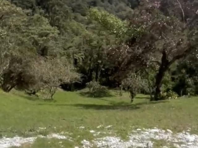 Lote en venta en Antioquia, Ituango