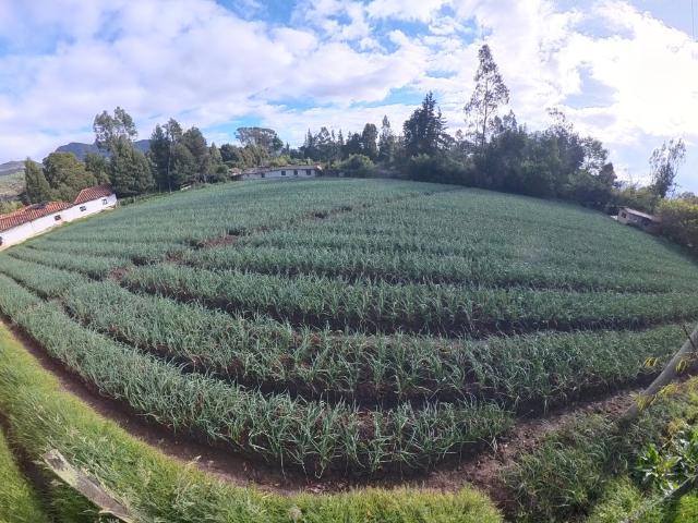 Lote en venta en Cundinamarca