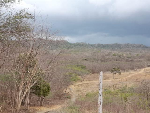 Lote En Venta En Juan De Acosta En Aquamarina V191906