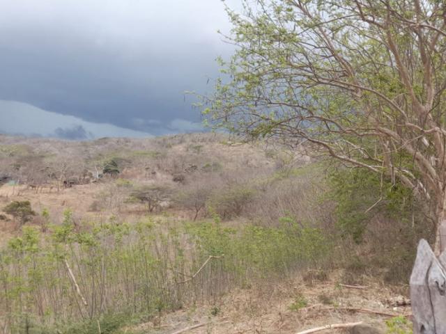 Lote En Venta En Juan De Acosta En Aquamarina V191906