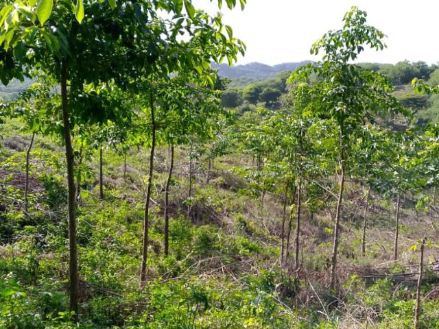 Lote En Venta En Juan De Acosta V298152