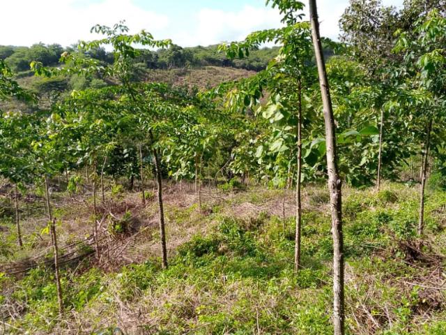 Lote En Venta En Juan De Acosta V298152