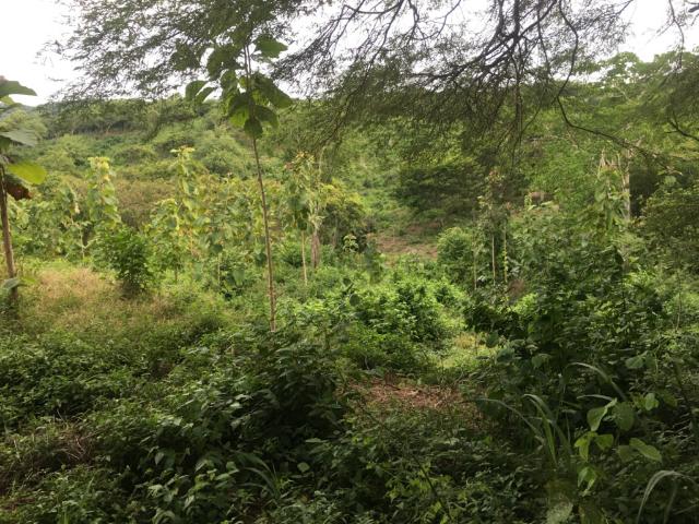 Lote En Venta En Juan De Acosta V298152