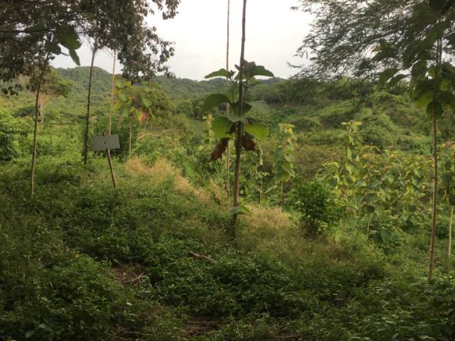 Lote En Venta En Juan De Acosta V298152