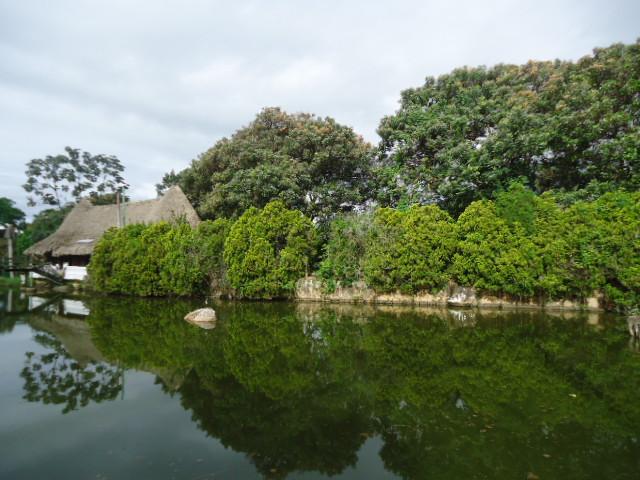 Lote En Venta En Junin En Fusagasuga V350843