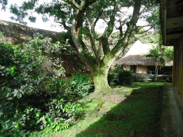 Lote En Venta En Junin En Fusagasuga V350843
