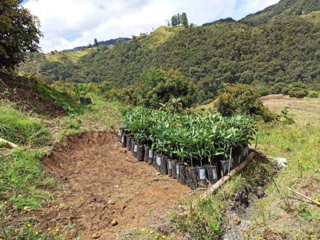 Lote en venta en La Unión, Valle Del Cauca