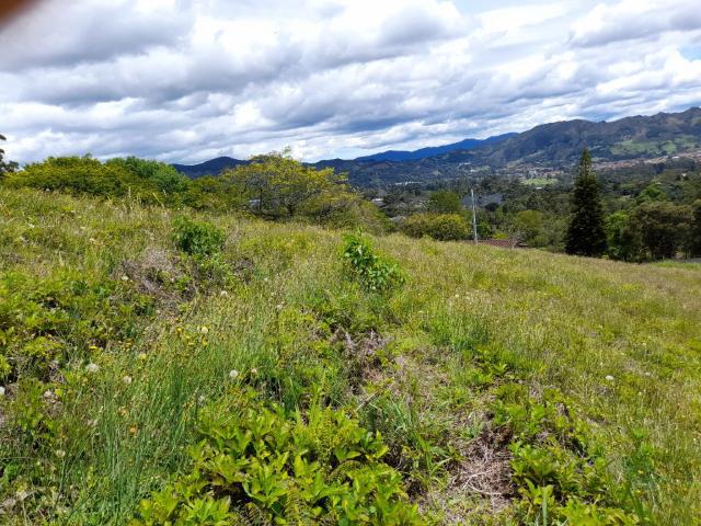 Lote en venta en Nariño