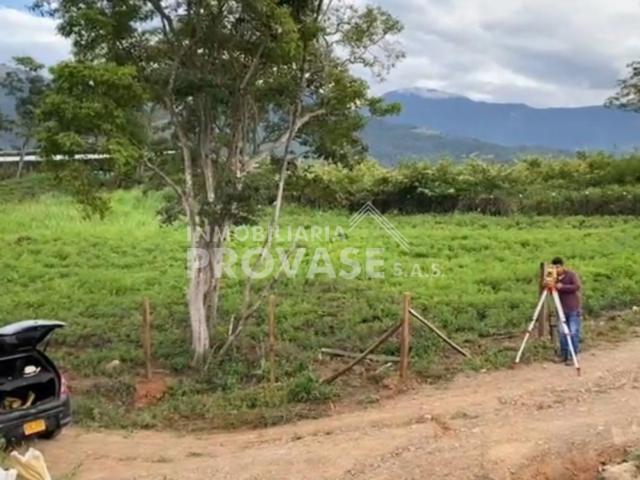 Lote En Venta En Los Patios En Corozal V287910