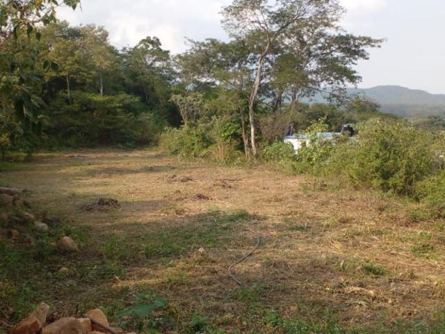 Lote En Venta En Los Patios En Corregimiento La Garita V218974