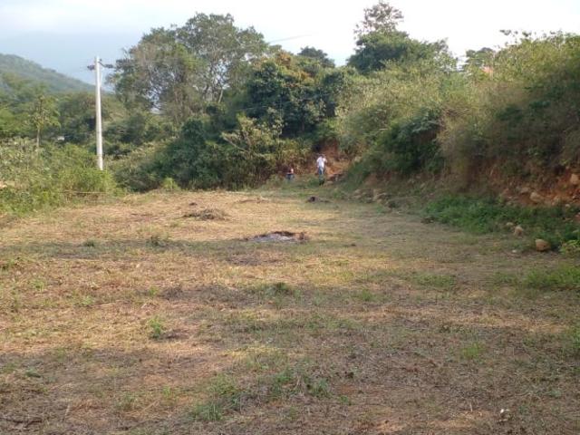 Lote En Venta En Los Patios En Corregimiento La Garita V218974