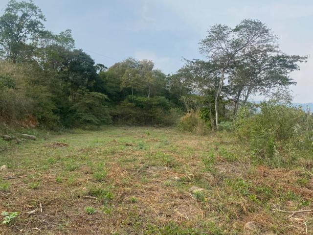 Lote En Venta En Los Patios En Corregimiento La Garita V218974