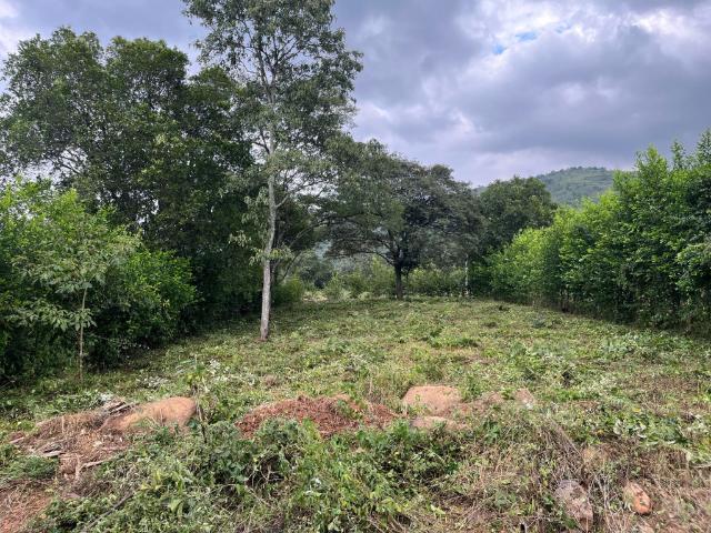 Lote En Venta En Los Patios En. V220069