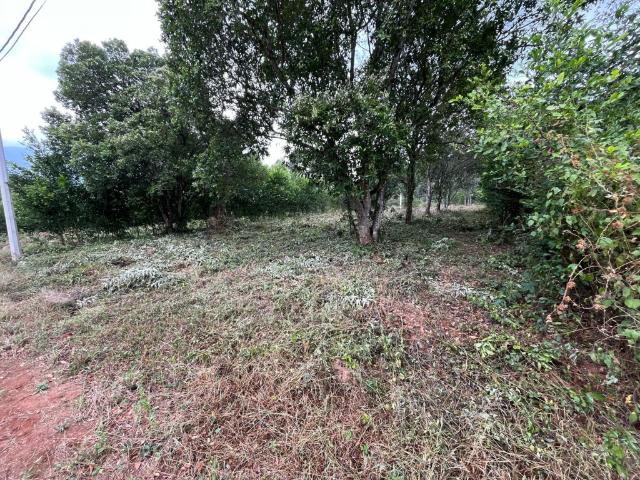 Lote En Venta En Los Patios En. V220069