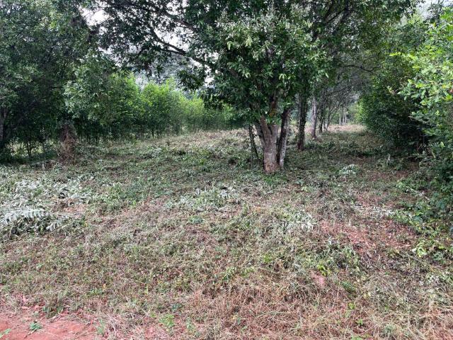 Lote En Venta En Los Patios En. V220069