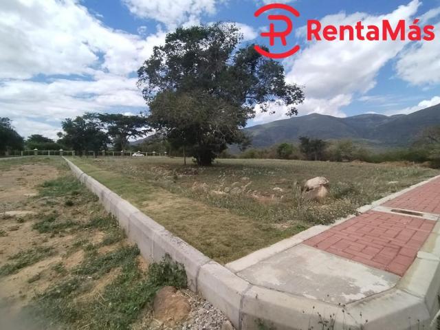 Lote En Venta En Los Patios V134164