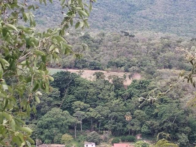 Lote En Venta En Los Patios V134164