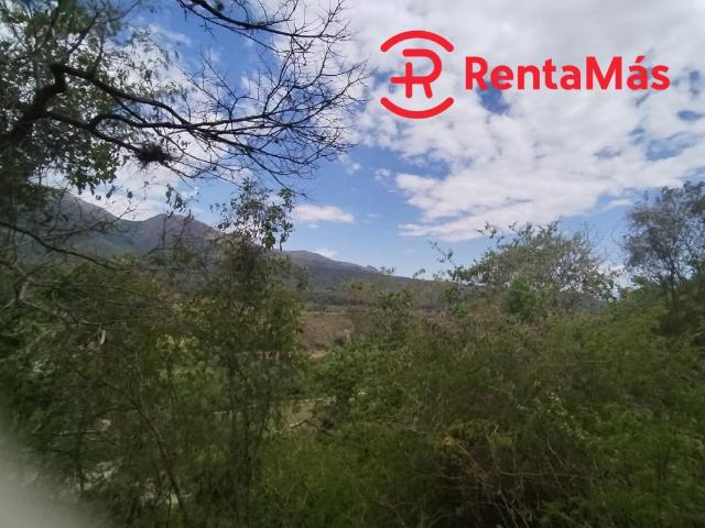 Lote En Venta En Los Patios V134164