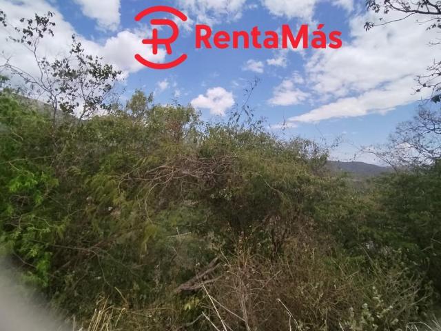 Lote En Venta En Los Patios V134164