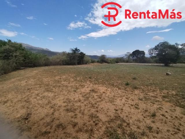 Lote En Venta En Los Patios V134164