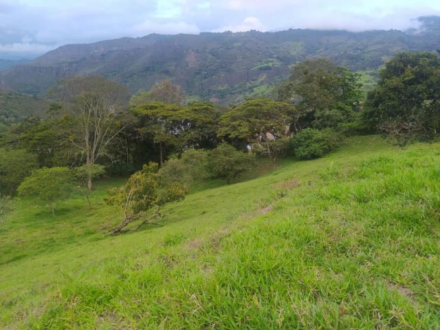 Lote en venta en Almeida, Oriente