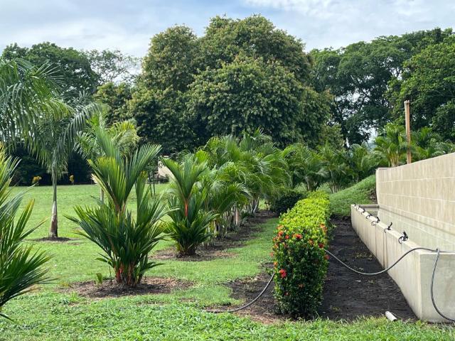 Lote en venta en Tolima