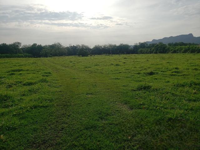 Lote en venta en Tolima