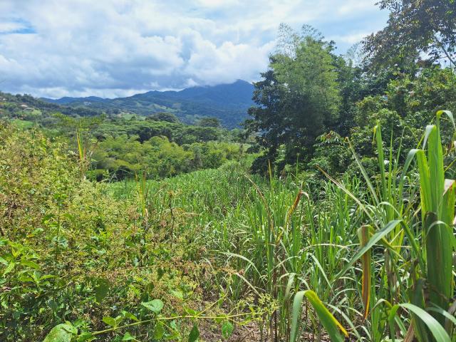Lote en venta en Cundinamarca