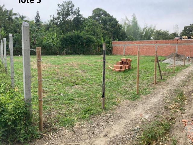 Lote En Venta En Palmira En Rozo V277297