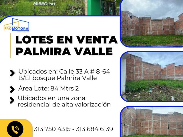 Lote en venta en Sur, Palmira