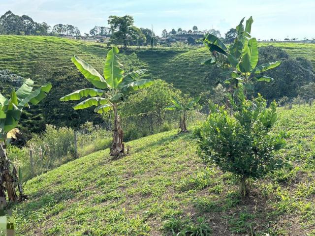Lote en venta en Risaralda