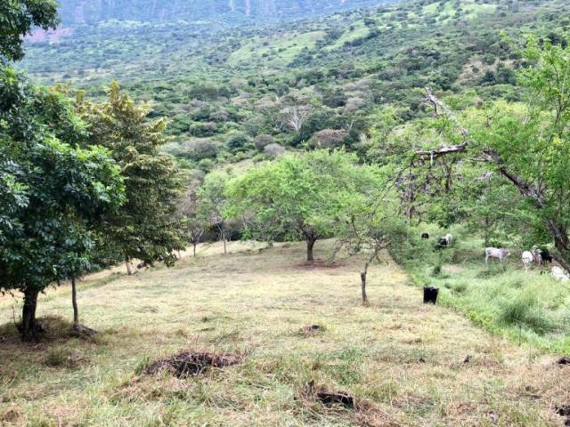Lote en venta en Caldas, Pensilvania