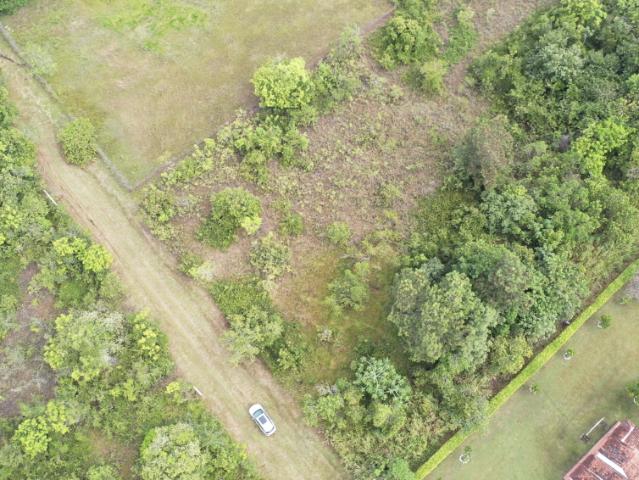 Lote en venta en San Carlos De Guaroa, Meta