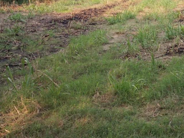 Lote en venta en Sur, Valle Del Cauca