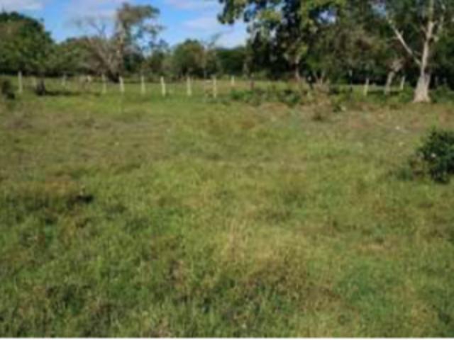 Lote en venta en Tolima