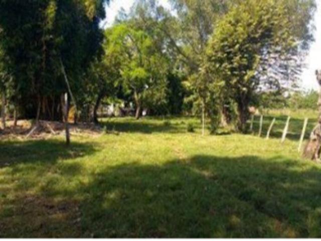 Lote en venta en Tolima