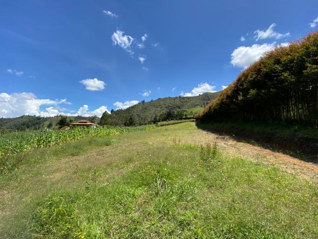 Lote en venta en Antioquia, La Enea