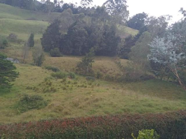 Lote en venta en Antioquia, Bajo Cauca