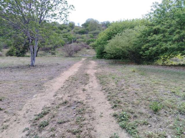 Lote en venta en Magdalena