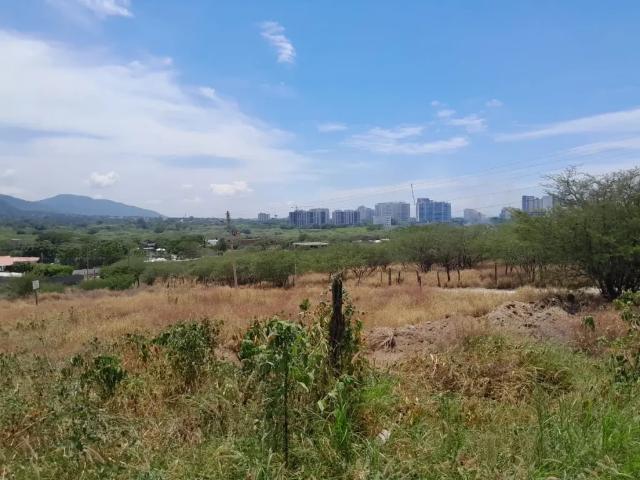 Lote En Venta En Santa Marta En. V225115