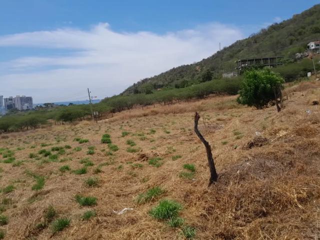 Lote En Venta En Santa Marta En. V225115